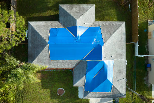 Best Roof Maintenance and Cleaning  in Odon, IN