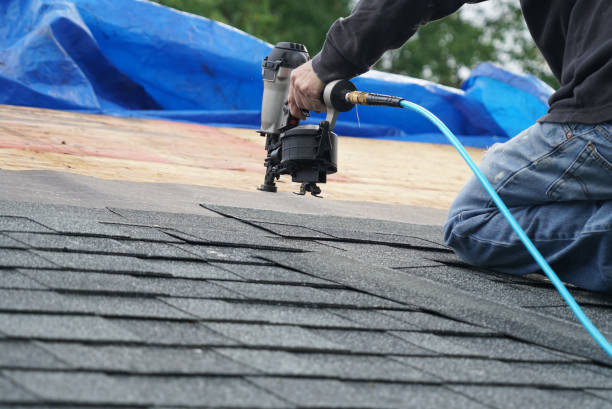 Best Roof Ventilation Installation  in Odon, IN